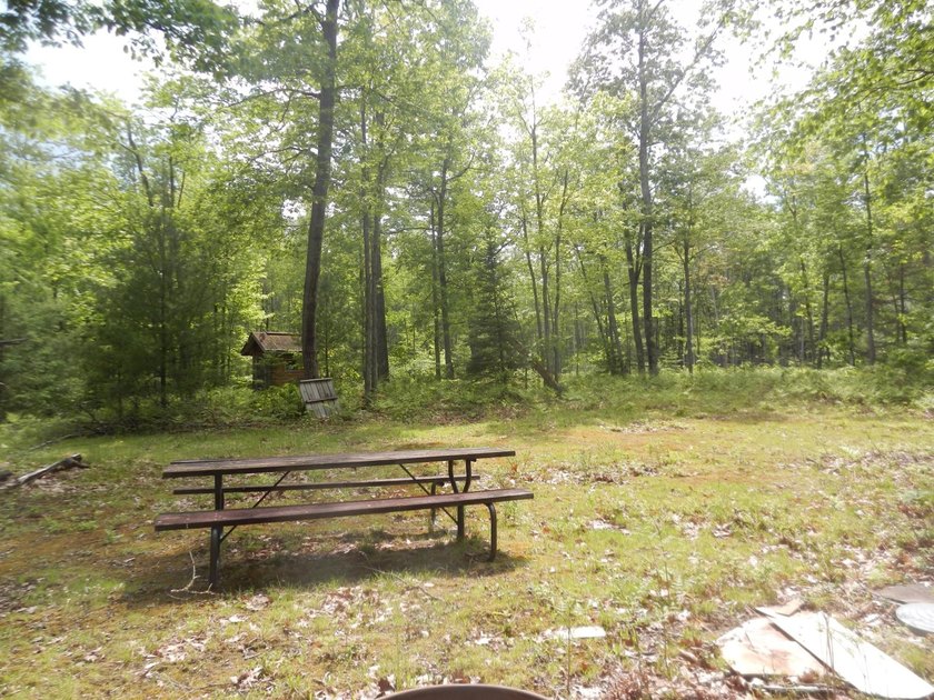 Here is a prime improved building site! Almost 10 acres of - photo 4