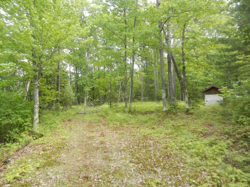 Here is a prime improved building site! Almost 10 acres of - photo 5