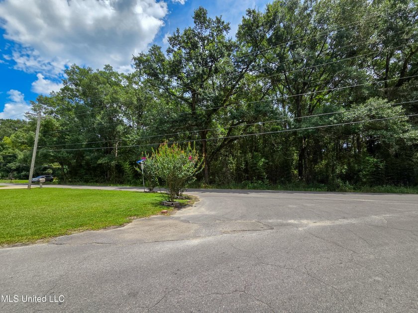 This large corner lot offers a prime opportunity to build your - photo 2