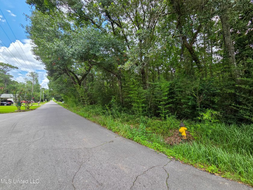 This large corner lot offers a prime opportunity to build your - photo 3