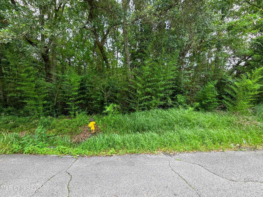This large corner lot offers a prime opportunity to build your - photo 4
