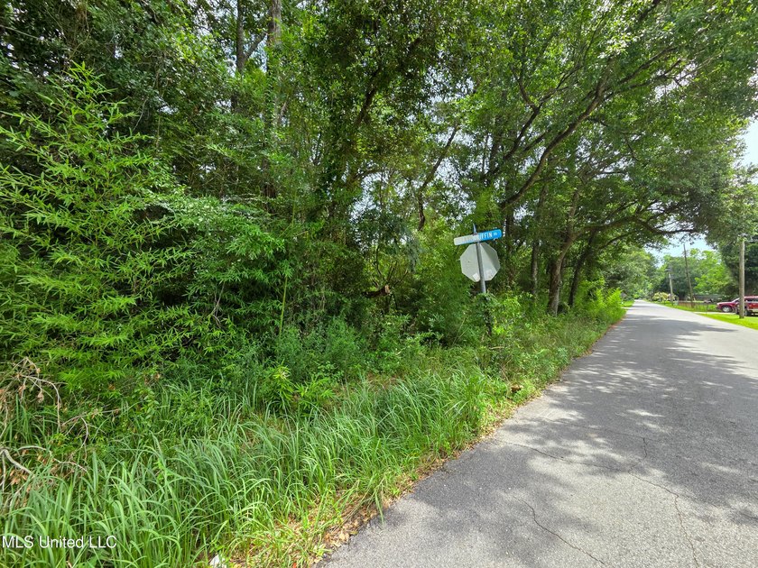 This large corner lot offers a prime opportunity to build your - photo 5