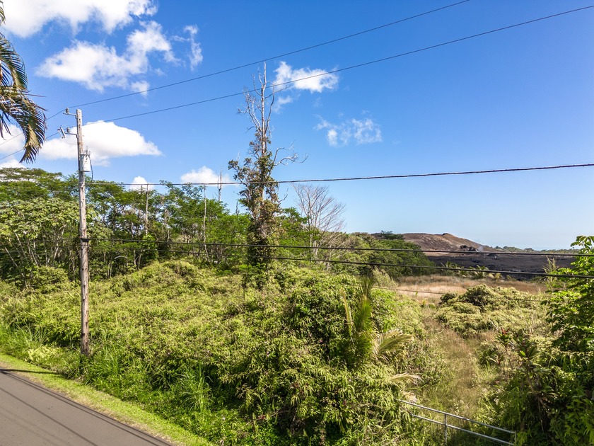 This beautiful gem tucked back in the peaceful Leilani Estates - photo 4