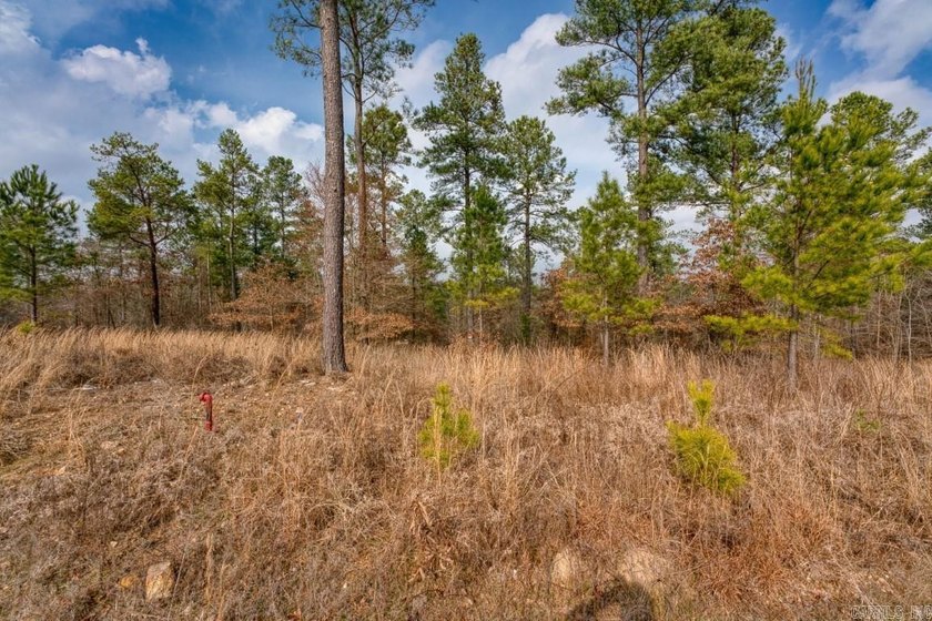 Welcome to your serene retreat in the heart of nature! Minutes - photo 3