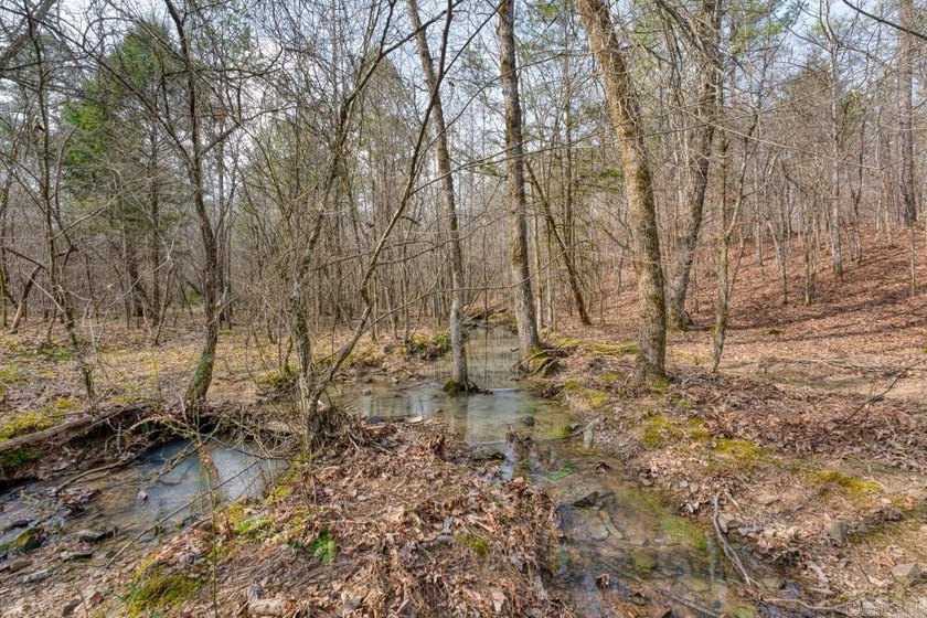 Welcome to your serene retreat in the heart of nature! Minutes - photo 6