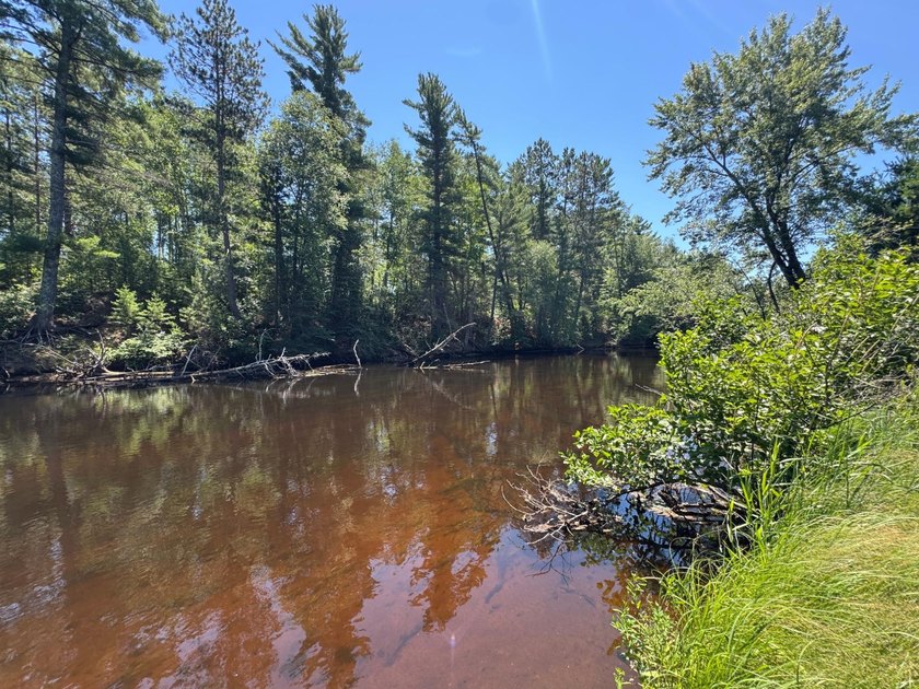 Tomahawk Riverfront Home- the perfect Northwoods retreat where - photo 2