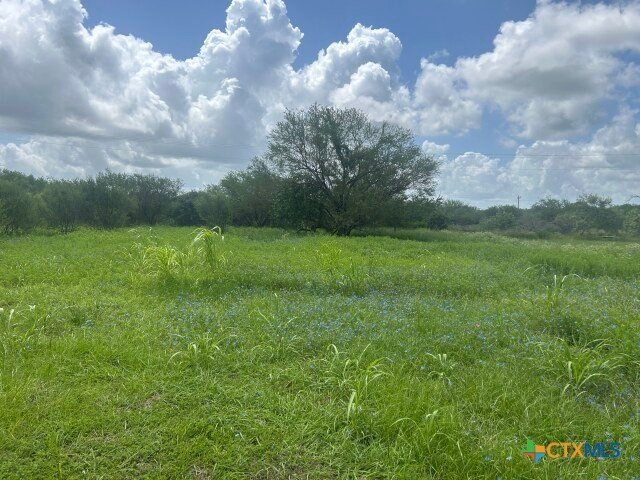 HUD Case 495-966457 Peaceful country living on 1.17 acres in - photo 5