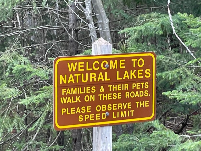 1.55 nicely wooded Acres in Natural Lakes Preserve ready for - photo 4