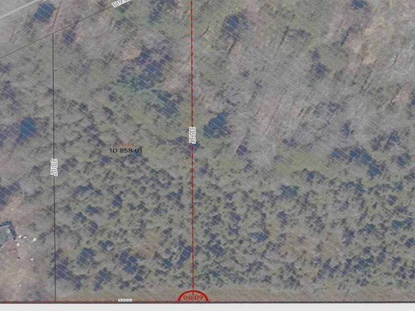 This newly surveyed and inexpensive .69-acre parcel is located - photo 2