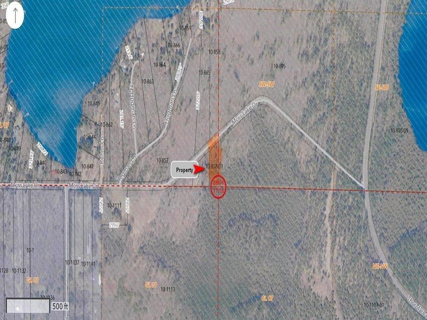 This newly surveyed and inexpensive .69-acre parcel is located - photo 3