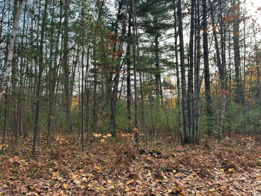 This newly surveyed and inexpensive .69-acre parcel is located - photo 4