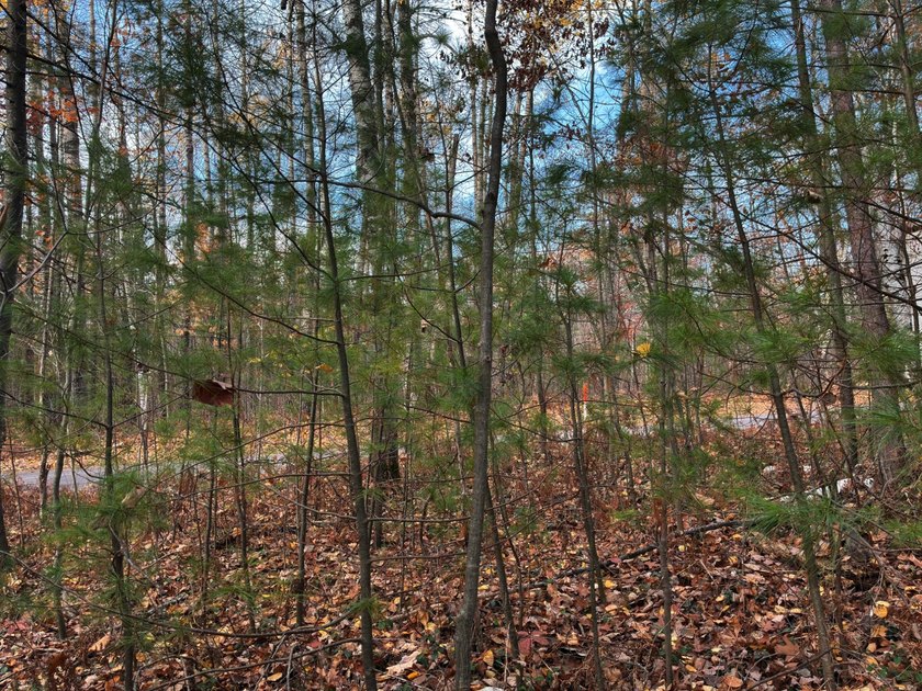 This newly surveyed and inexpensive .69-acre parcel is located - photo 7