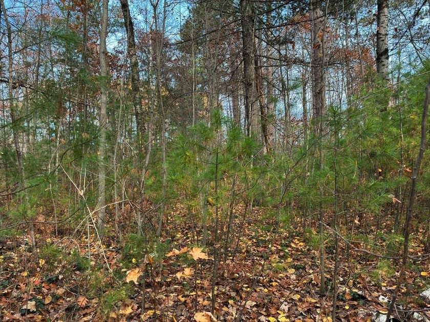This newly surveyed and inexpensive .69-acre parcel is located - photo 8