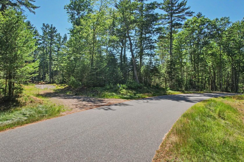 Rare opportunity to build in the highly sought-after Eaglewatch - photo 4