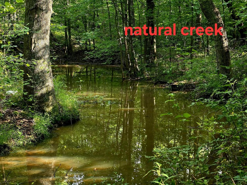 This is a rare opportunity to purchase 27 acres of unrestricted - photo 2