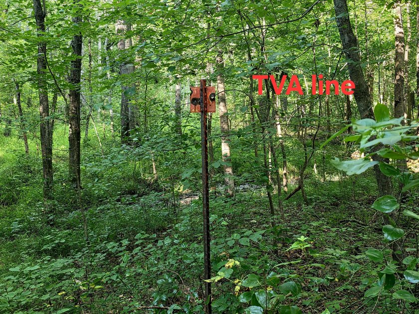 This is a rare opportunity to purchase 27 acres of unrestricted - photo 3