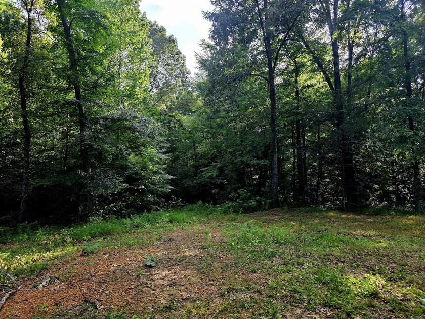 This is a rare opportunity to purchase 27 acres of unrestricted - photo 5