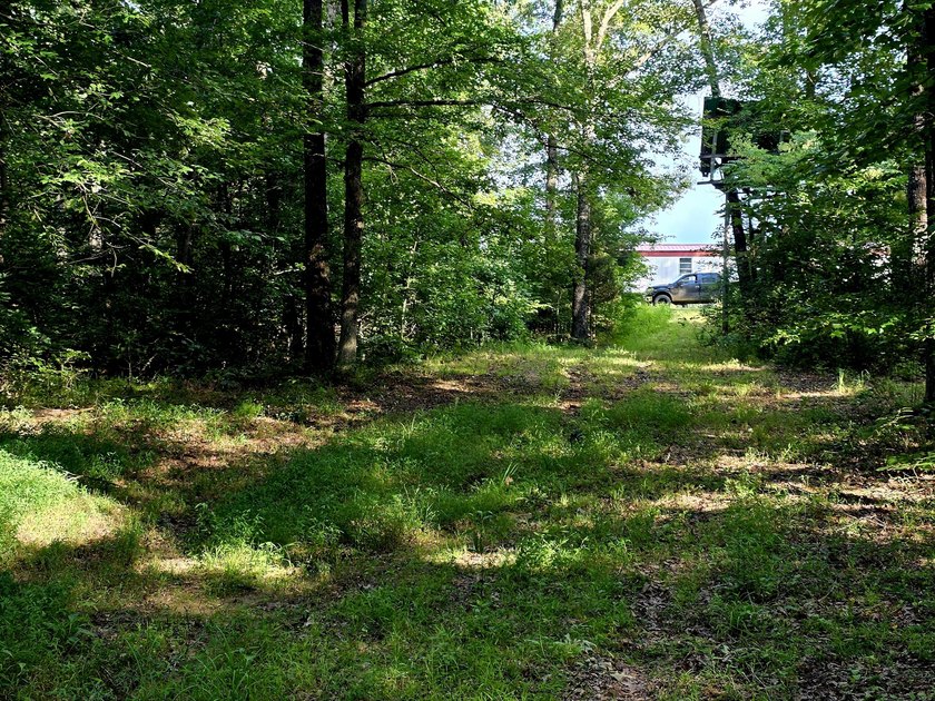 This is a rare opportunity to purchase 27 acres of unrestricted - photo 9