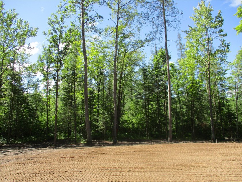 ENJOY THE LOW TAXES WITH ACCESS, NOT FRONTAGE, TO RED CEDAR LAKE - photo 11