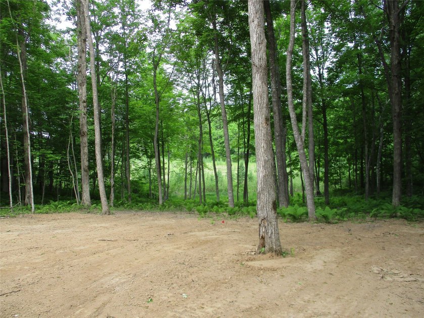 ENJOY THE LOW TAXES WITH ACCESS, NOT FRONTAGE, TO RED CEDAR LAKE - photo 12