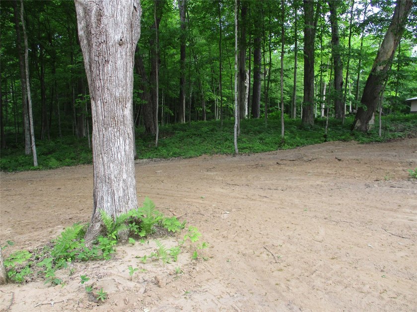 ENJOY THE LOW TAXES WITH ACCESS, NOT FRONTAGE, TO RED CEDAR LAKE - photo 13