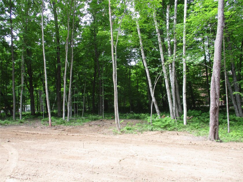 ENJOY THE LOW TAXES WITH ACCESS, NOT FRONTAGE, TO RED CEDAR LAKE - photo 14