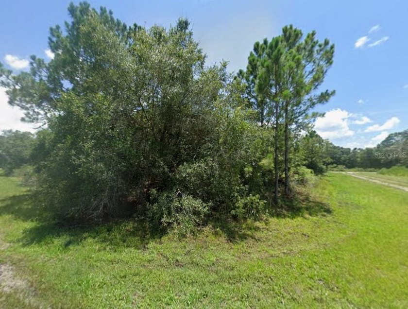 Beautiful lot in North Port. This lot may qualify for up to 90% - photo 3
