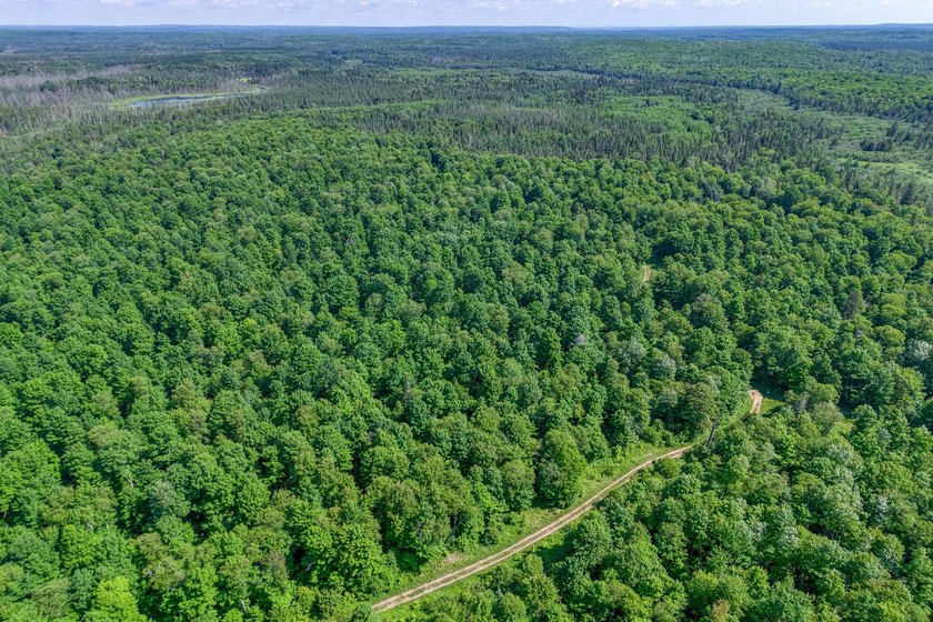 This 80-acre property is situated within the Ottawa National - photo 6