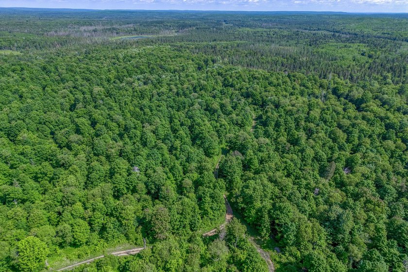 This 240-acre property is located within the Ottawa National - photo 3