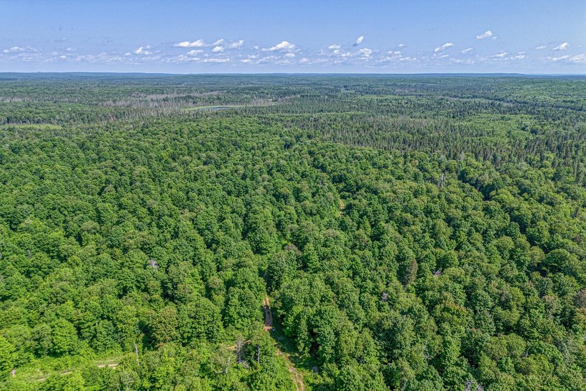 This 240-acre property is located within the Ottawa National - photo 5