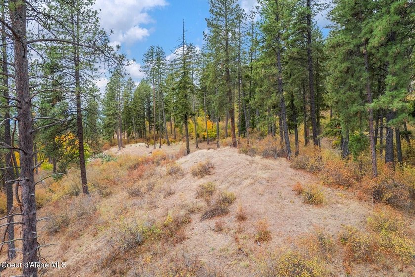 An exclusive estate property with panoramic lake views! This - photo 11