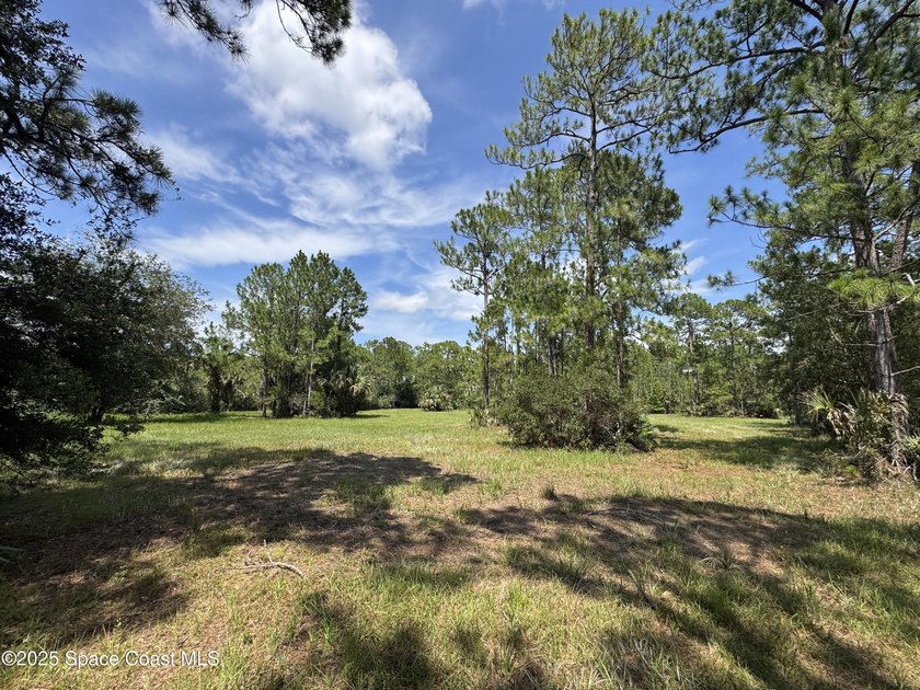 Welcome to your private slice of country paradise. Nestled on 39 - photo 33