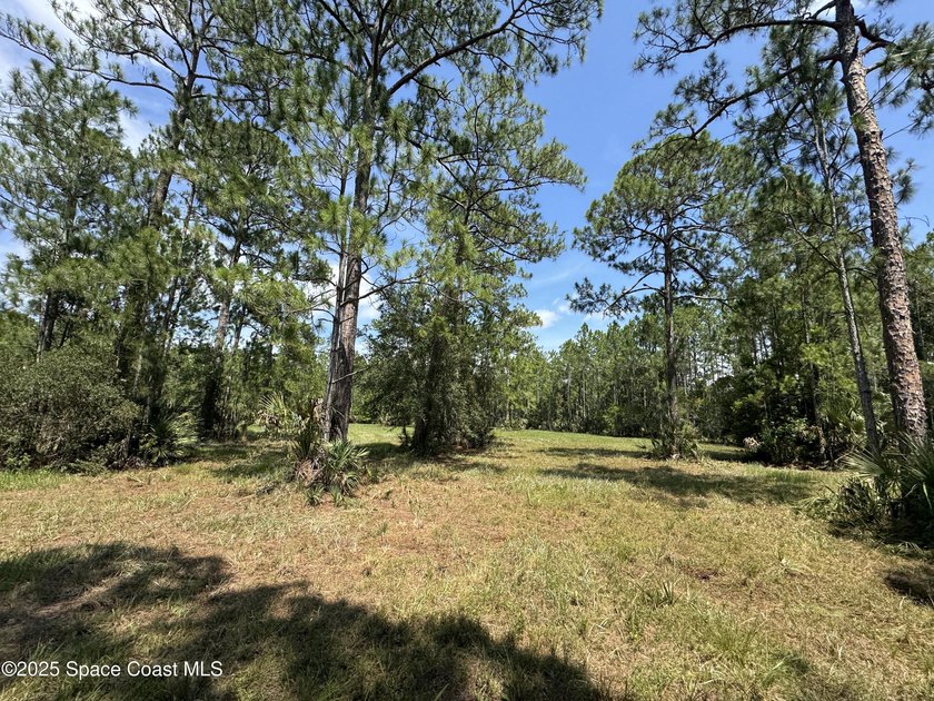 Welcome to your private slice of country paradise. Nestled on 39 - photo 34