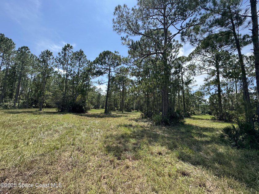 Welcome to your private slice of country paradise. Nestled on 39 - photo 36