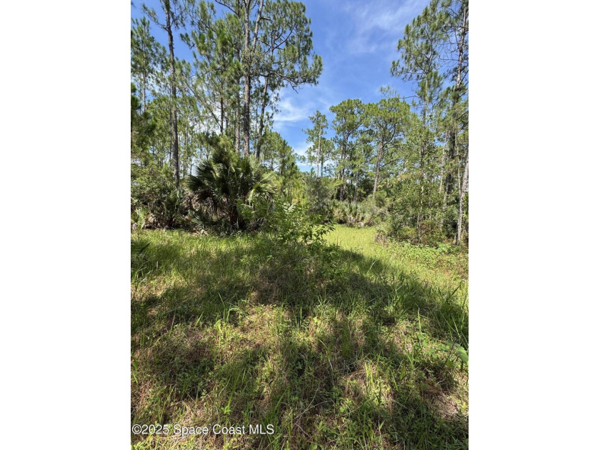 Welcome to your private slice of country paradise. Nestled on 39 - photo 44