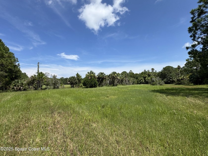 Welcome to your private slice of country paradise. Nestled on 39 - photo 45