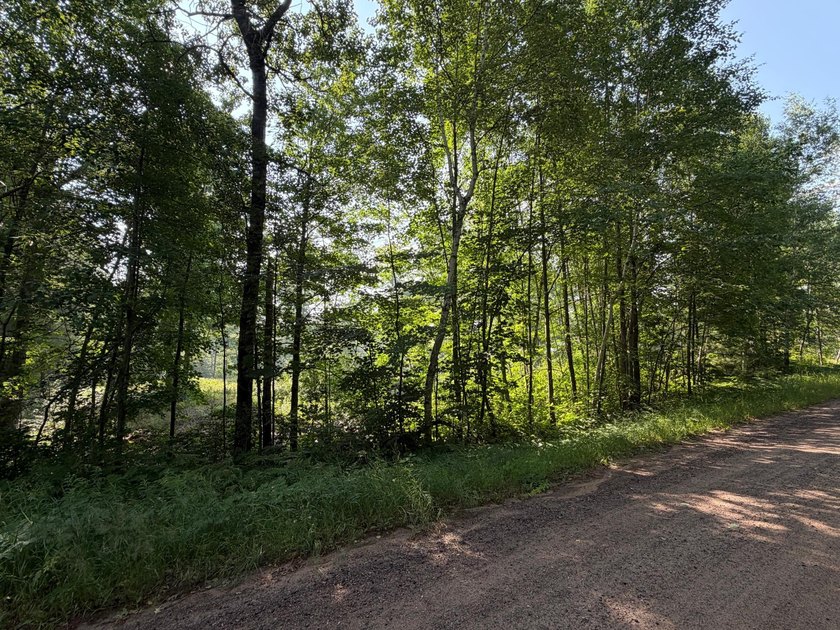 Buildable Lot in Minocqua! With some clearing already done, this - photo 2