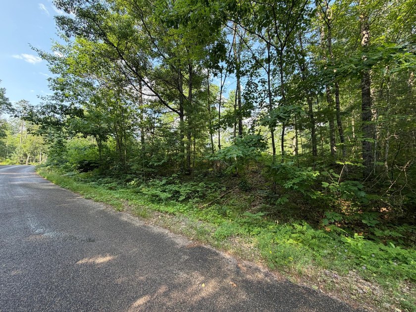 Buildable Lot in Minocqua! With some clearing already done, this - photo 2
