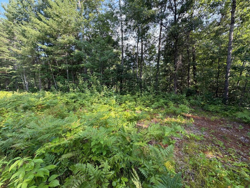 Buildable Lot in Minocqua! With some clearing already done, this - photo 5