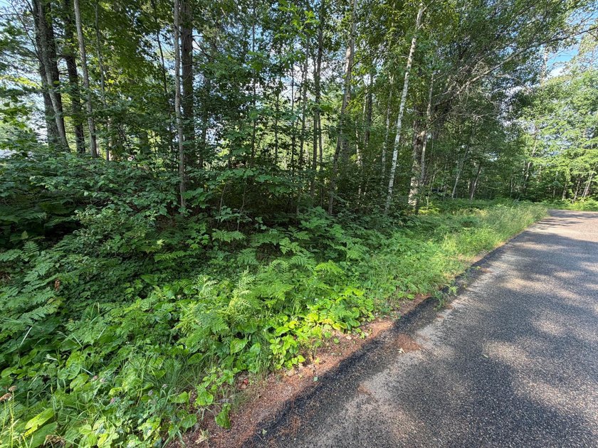 Buildable Lot in Minocqua! With some clearing already done, this - photo 4