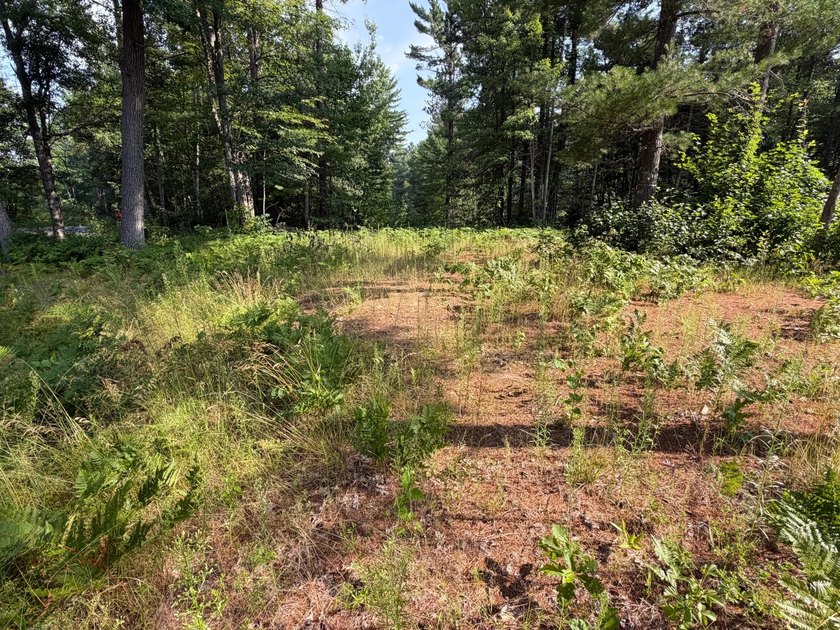 Buildable Lot in Minocqua! With some clearing already done, this - photo 7