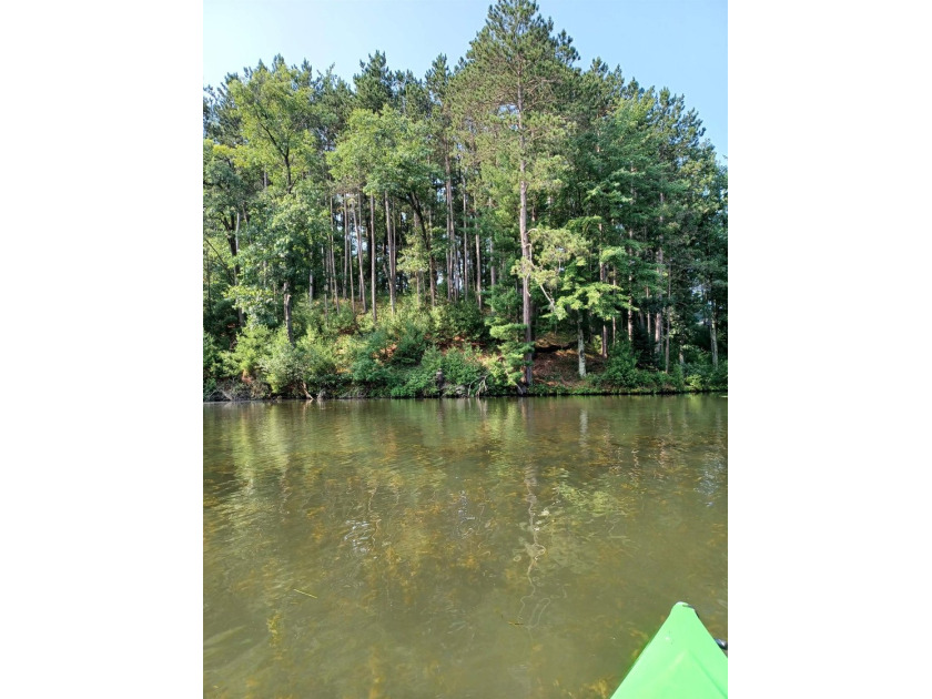 Over 60' of frontage on beautiful NEPCO Lake. This wooded lot - photo 3