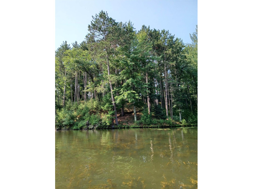 Over 60' of frontage on beautiful NEPCO Lake. This wooded lot - photo 4