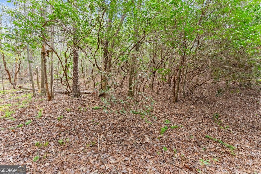 1.59 Acres | 200 Feet of Soque River Frontage | 2,000 Feet of - photo 14