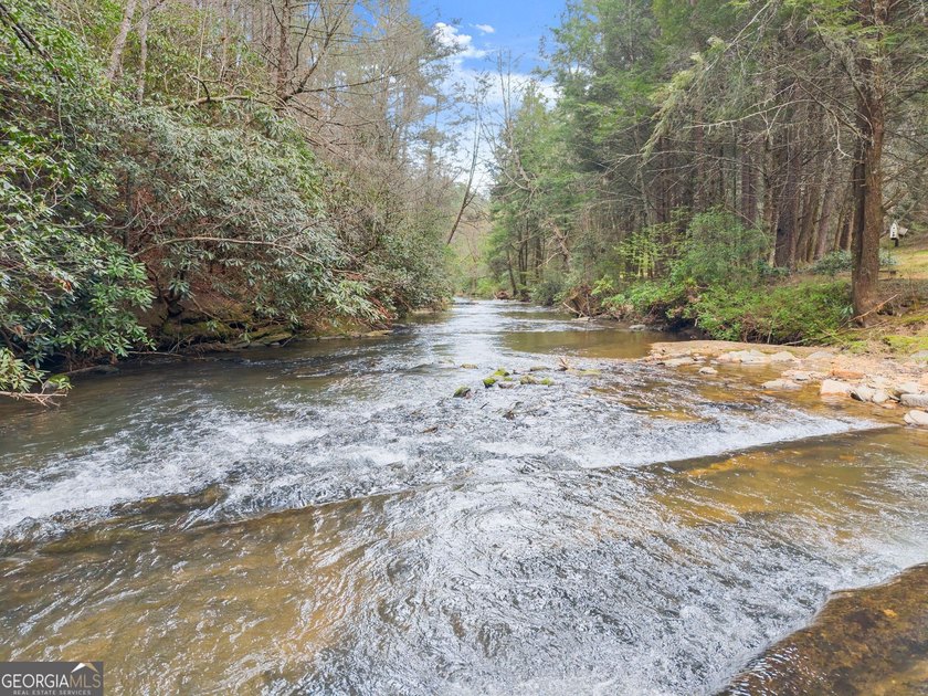 1.59 Acres | 200 Feet of Soque River Frontage | 2,000 Feet of - photo 22