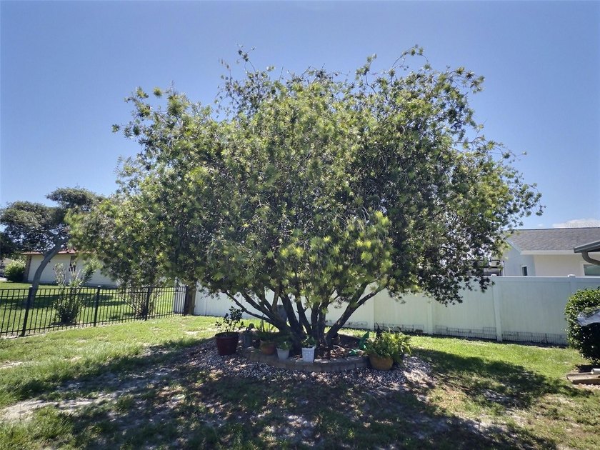 We are pleased to present this dual-primary-bedroom home located - photo 8
