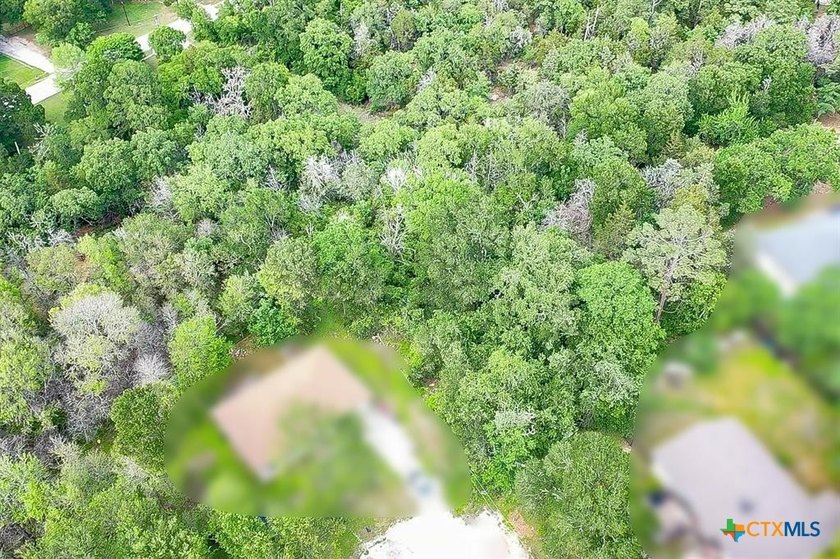 Beautifully wooded cul-de-sac lot ready to build your new home! - photo 3