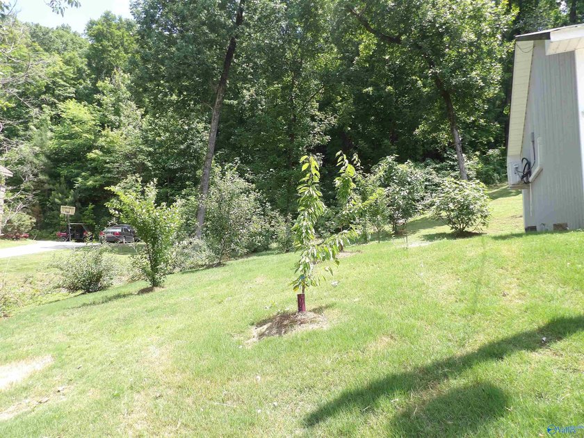 Waterfront home, Signal Point community, Guntersville city - photo 7