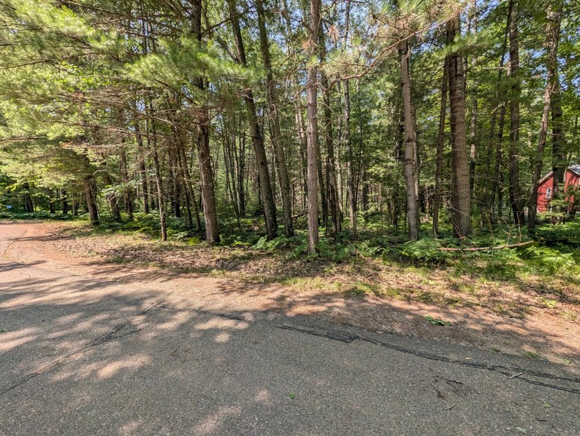 Discover the perfect setting for your Northwoods dream home! - photo 2