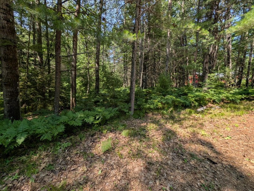 Discover the perfect setting for your Northwoods dream home! - photo 6